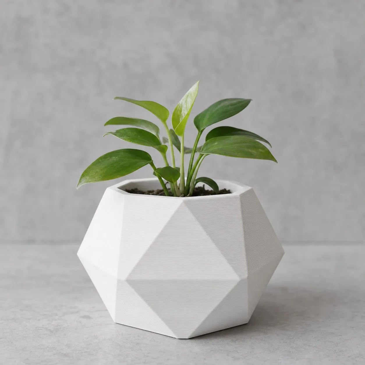 Planter putih geometris dengan tekstur layer hasil cetak FDM
